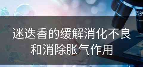 迷迭香的缓解消化不良和消除胀气作用